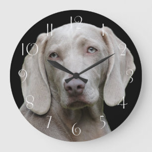Relógio Grande Bonito Cão Caçador de Weimaraner
