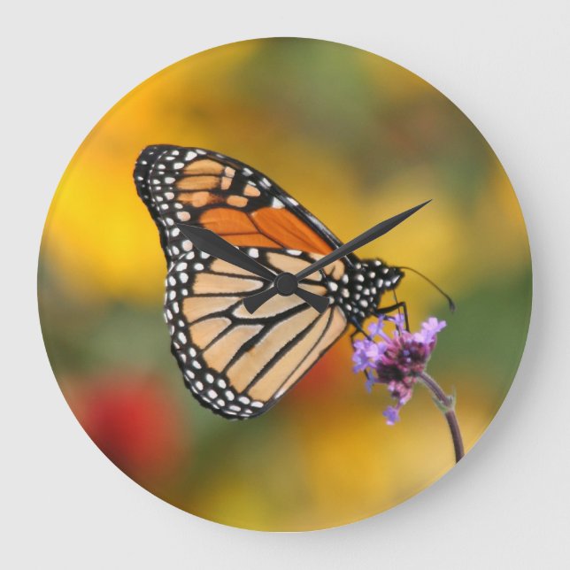 Relógio Grande Borboleta Monarca em Busca de pólen (Frente)