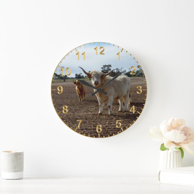 Relógio Grande Bovinos no Alvo: Vacas Highland Trilham Heist (Lar)