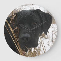 Caça tardia da temporada - Preto Lab - Labrador