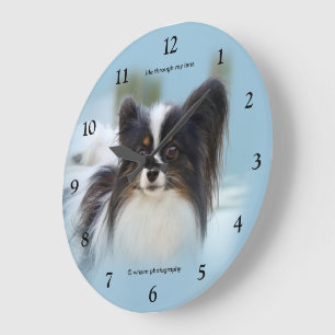 Relógio Grande Cachorro Papillon Toy Spaniel Fofo no Cais