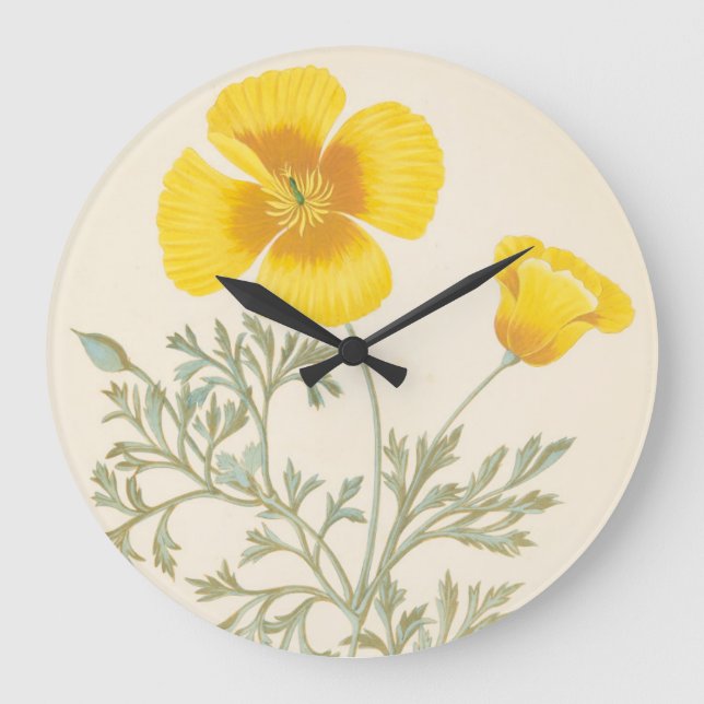 Relógio Grande Californian Eschscholtzia (Frente)