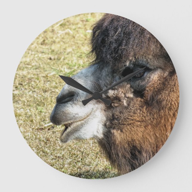 RELÓGIO GRANDE CAMELOS (Frente)