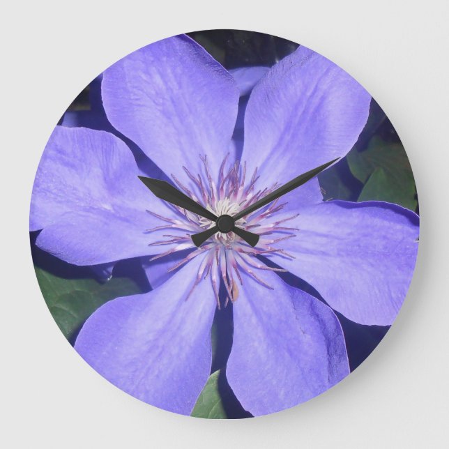 Relógio Grande Césarina (Frente)