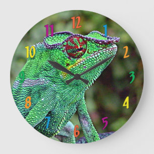 Relógio Grande Chameleon
