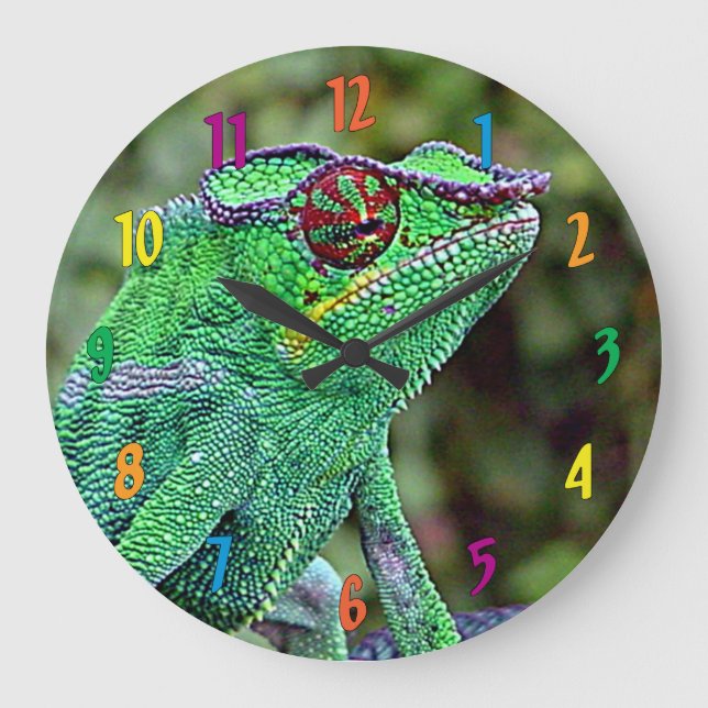 Relógio Grande Chameleon (Frente)