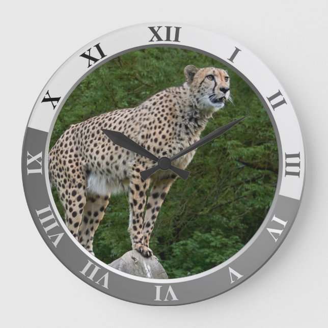 Relógio Grande Cheetah (Frente)