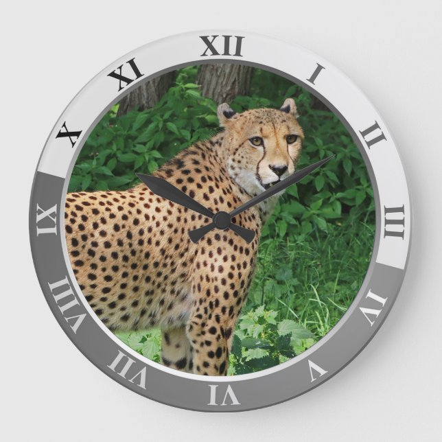 Relógio Grande Cheetah Large Clock (Frente)
