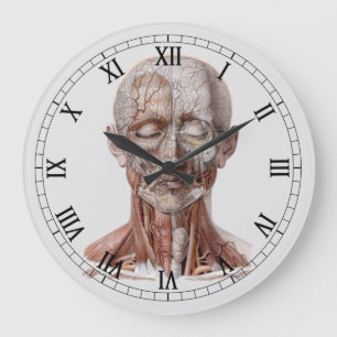 Relógio Grande Ciência humana da anatomia do vintage, nariz