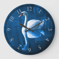 Cisne branco Bonito flutuando em um lago azul