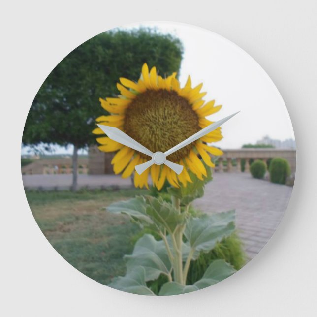 Relógio Grande Crie seu próprio tempo perfeito (Frente)