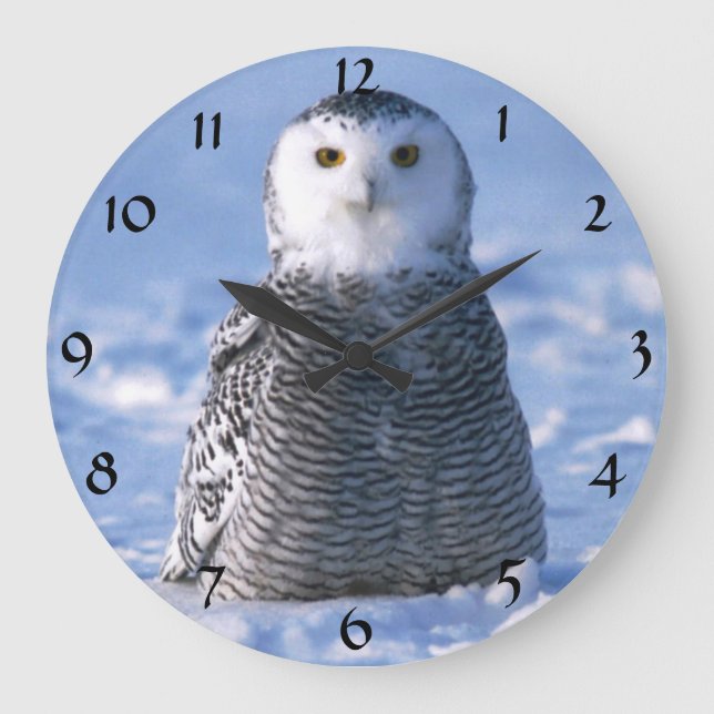 Relógio Grande Cute Alaska Artic Snowy Owl Winter Photo Designed (Frente)