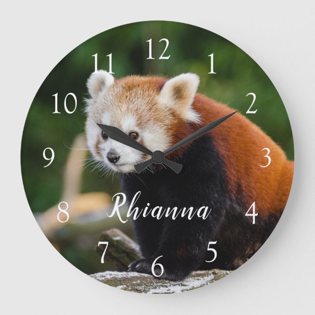Relógio Grande Cute Wild Red Panda Photo Personalized (Frente)