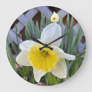 Relógio Grande Daffodils Amarelos #1