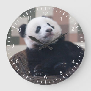Relógio Grande Doce Giant Panda Baby