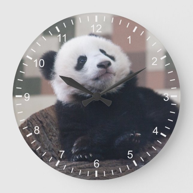 Relógio Grande Doce Giant Panda Baby (Frente)
