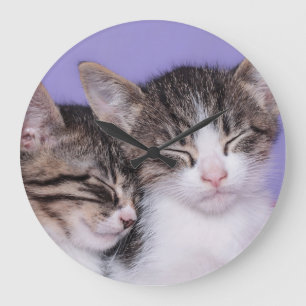 Relógio Grande Dois gatinhos bonitos que Napping