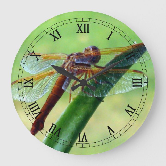 Relógio Grande Dragonfly no Aloe Macro Wall Clock (Frente)