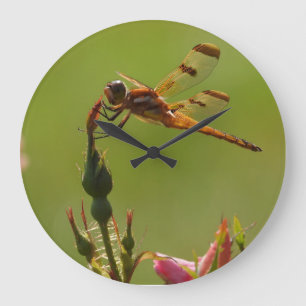 Relógio Grande Dragonfly ouro em verde