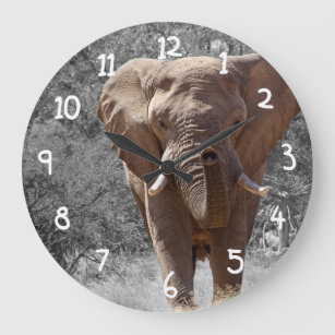 Relógio Grande Elefante Africano