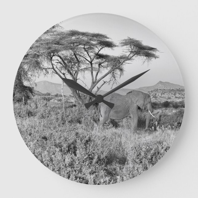 Relógio Grande Elefante em Samburu (Frente)