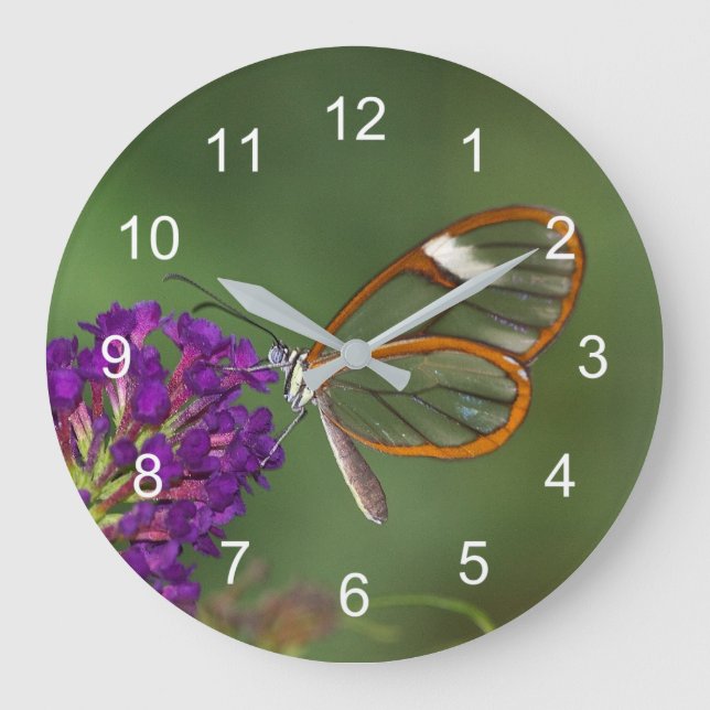 Relógio Grande Eles me chamam de asa livre (Frente)