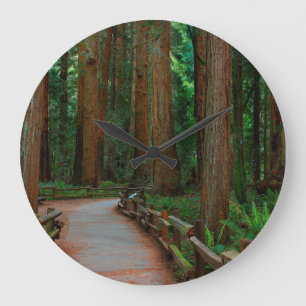 Relógio Grande EUA, Califórnia. Caminho Entre Sequoias De Muir