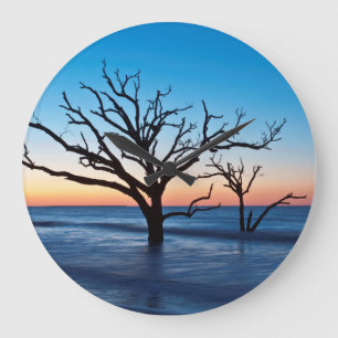 Relógio Grande EUA, Carolina do Sul, Ilha Edisto, Botany Bay