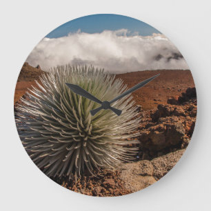 Relógio Grande EUA, Havaí, Maui, Parque Nacional de Haleakala