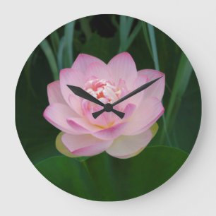 Relógio Grande EUA, Kansas, Pink Water Lilly