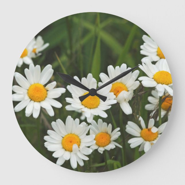 Relógio Grande EUA, Washington, Seattle, Puget Sound 3 (Frente)