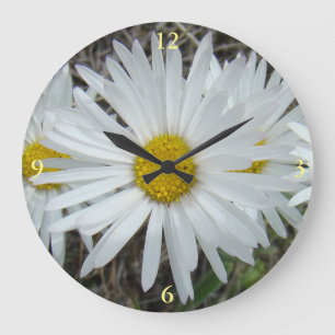 Relógio Grande F42 Flores Silvestres Brancas Aster Suave