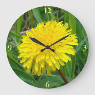 Relógio Grande F45 Dandelion "Taraxacum officinale"