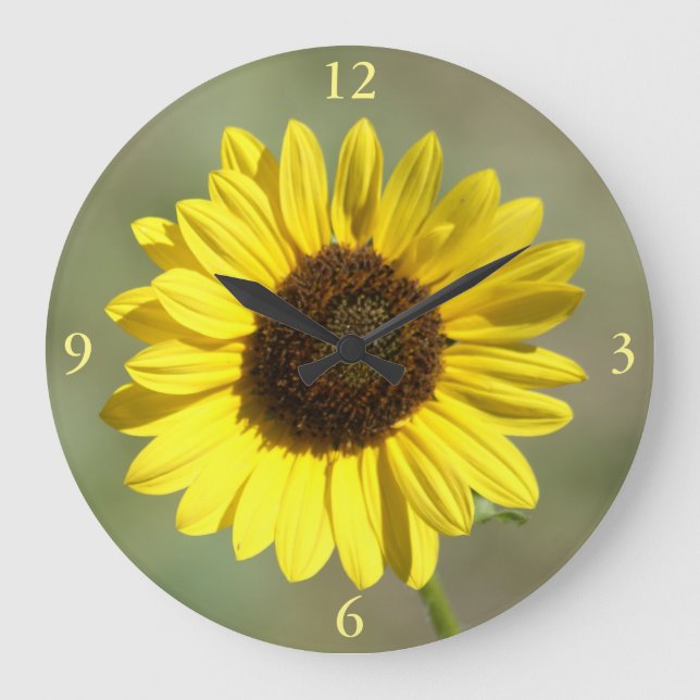 Relógio Grande F47 Flor Amarela Selvagem Girassol Anual Comum (Frente)