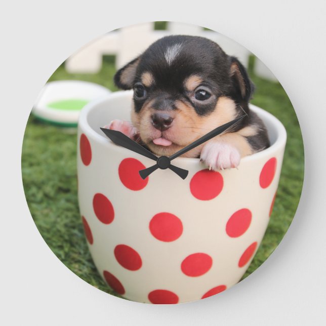 Relógio Grande Filhote de cachorro da chihuahua do Teacup (Frente)