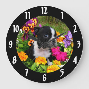Relógio Grande Filhote de cachorro de Boston Terrier
