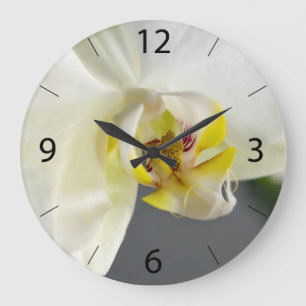 Relógio Grande Flor de Orquídea Branca
