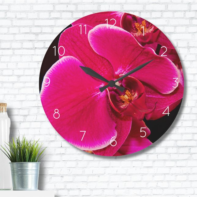Relógio Grande Flor Rosa Orquídea Moderna (Modern Bakery Magenta Pink French Macaron Cookies Large Clock)