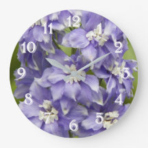 Flores de Delphinium Roxo
