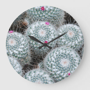 Relógio Grande Flores Rosa Pequenas Plantas De Cactus