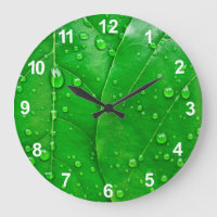 Folhas do verde