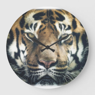 Relógio Grande Foto Bengala Tiger Face