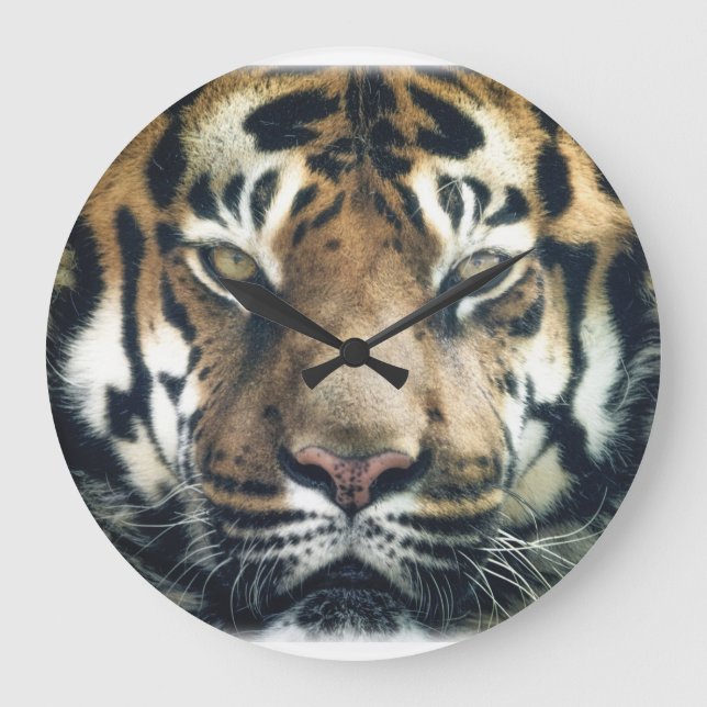 Relógio Grande Foto Bengala Tiger Face (Frente)