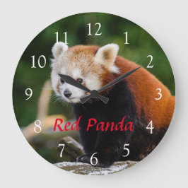 Relógio Grande Foto da Natureza de Panda Vermelho Selvagem Fofa T