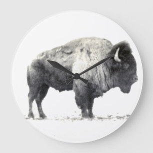 Relógio Grande Fotografia histórica do American Bison