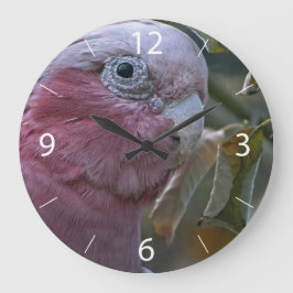 Relógio Grande Galah