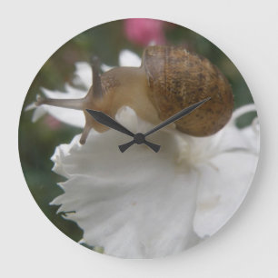 Relógio Grande Garden Snail e White Carnação Wall Clock