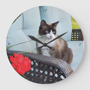 Relógio Grande gato animal de estimação amava felino