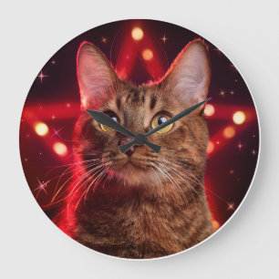 Relógio Grande Gato Castanho De Havana (Raça Com Fundo De Estrelo