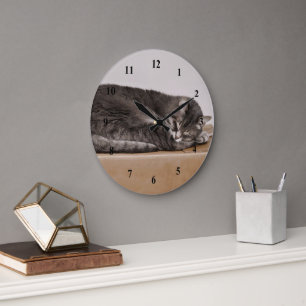 Relógio Grande Gato de gato malhado cinzento que dorme na caixa